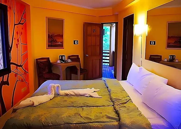 Alta Cebu 4*