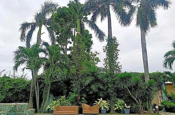 Alta Cebu Resort Cordova (Mactan)